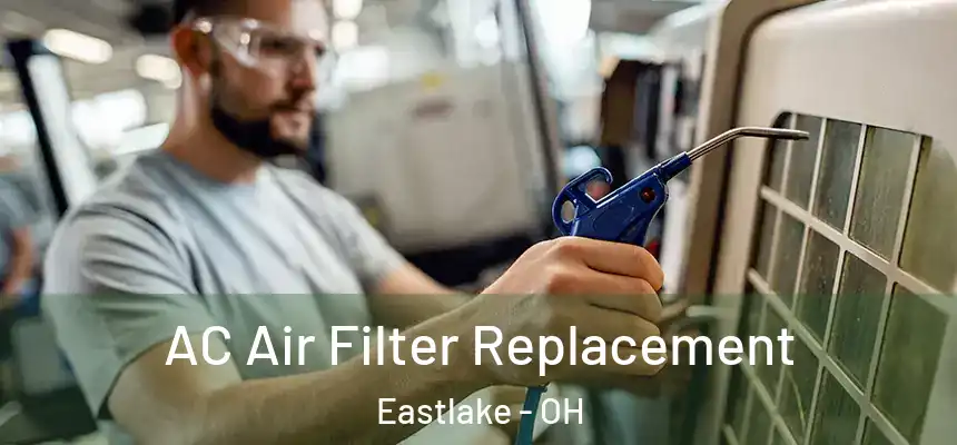  AC Air Filter Replacement Eastlake - OH