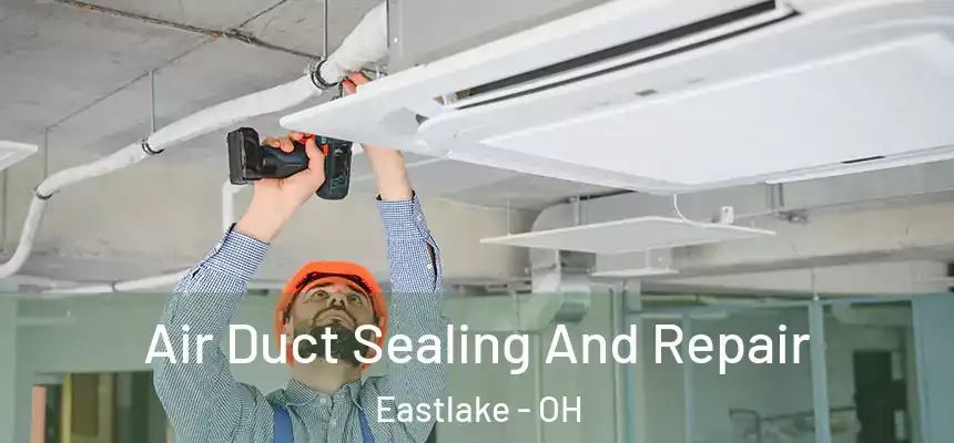  Air Duct Sealing And Repair Eastlake - OH