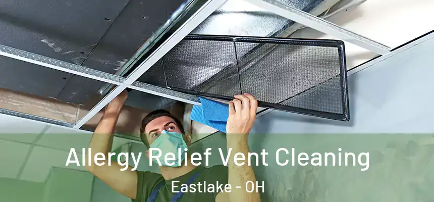 Allergy Relief Vent Cleaning Eastlake - OH