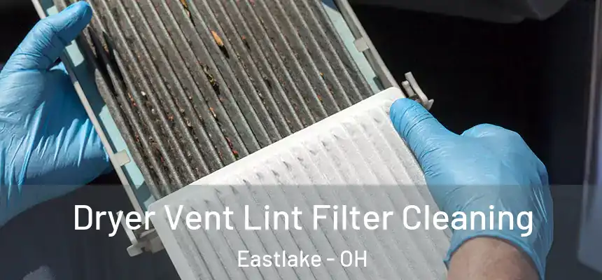  Dryer Vent Lint Filter Cleaning Eastlake - OH