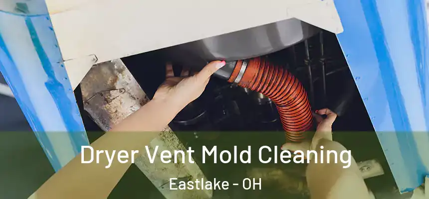  Dryer Vent Mold Cleaning Eastlake - OH