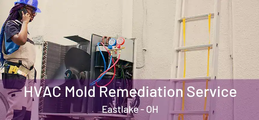  HVAC Mold Remediation Service Eastlake - OH