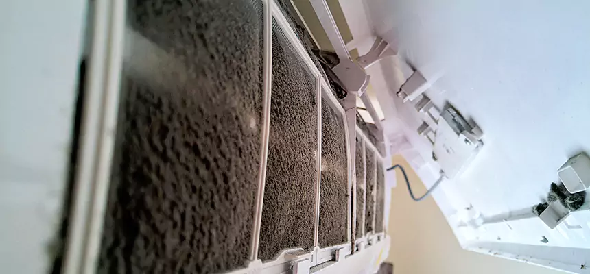 Preventive Air Duct Bacteria Removal in Eastlake