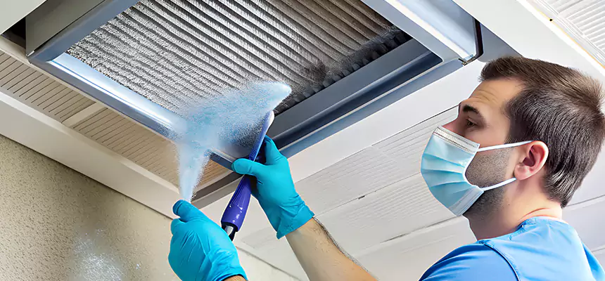 Proactive Dryer Vent & Auxiliary Duct Pollen Cleanup in Eastlake, OH