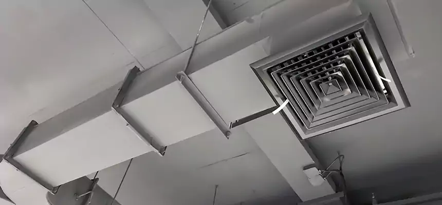 Restorative Allergy Relief Vent Cleaning – Coil, Blower & Housing Detail in Eastlake