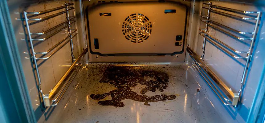 Our Dryer Vent Mold Cleaning Services in Eastlake, OH