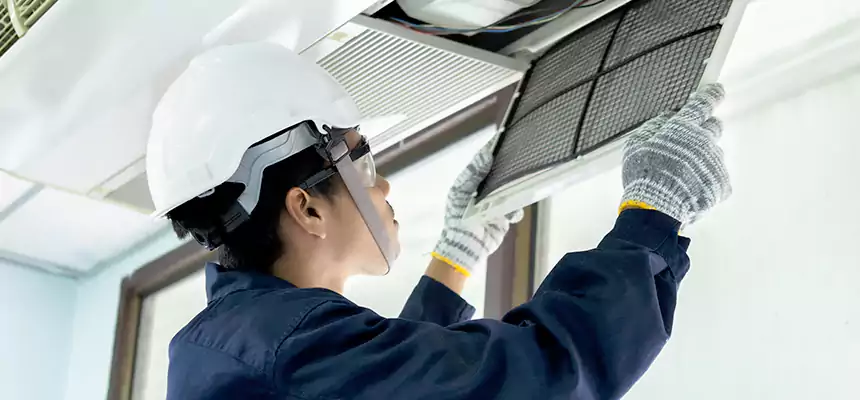 Our Mold & Mildew Removal from Air Ducts Services in Eastlake, OH