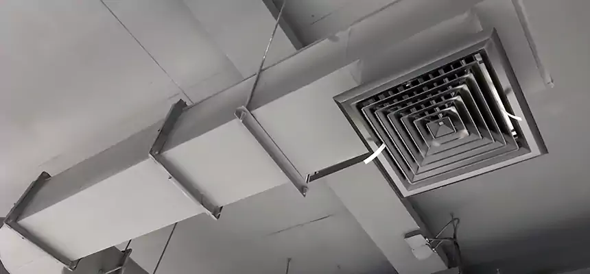 Our Pest Removal From Ducts Services in Eastlake, OH