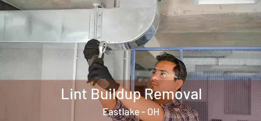  Lint Buildup Removal Eastlake - OH