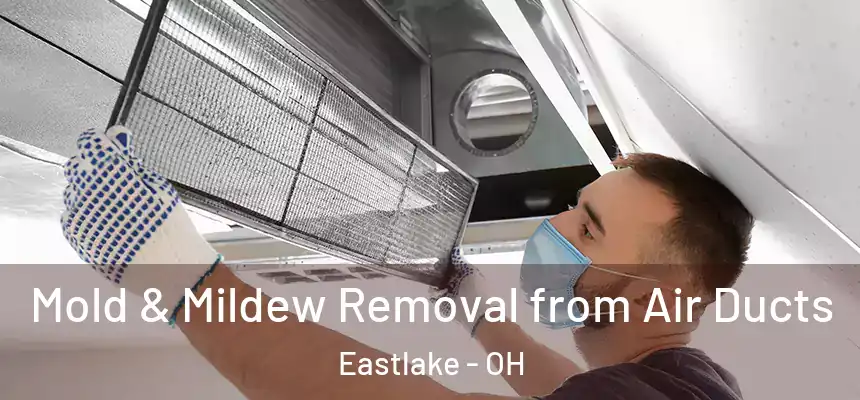  Mold & Mildew Removal from Air Ducts Eastlake - OH
