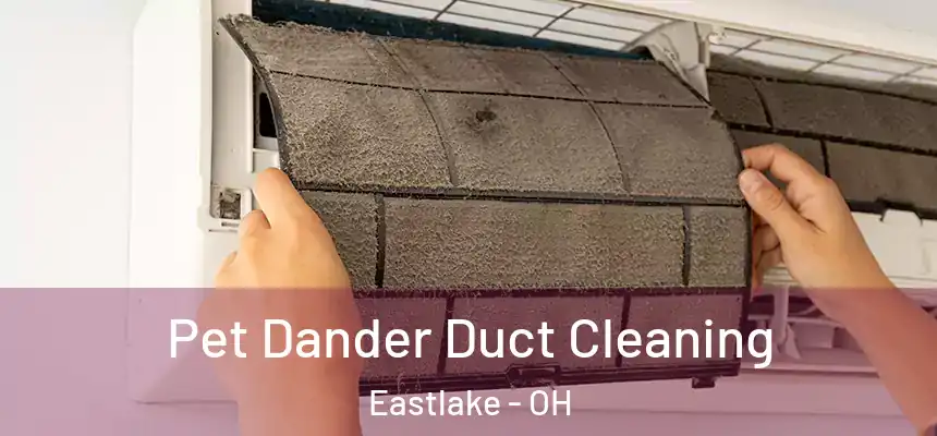  Pet Dander Duct Cleaning Eastlake - OH