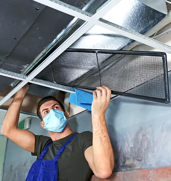 About Air Duct Bacteria Removal in Eastlake