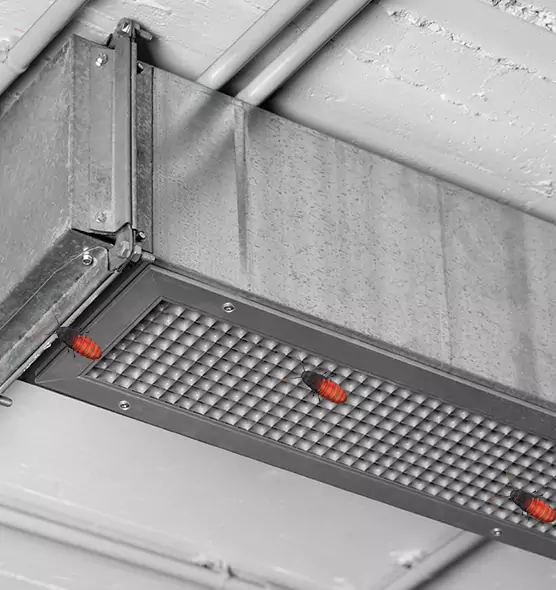 About Air Duct Cockroach Removal in Eastlake, OH