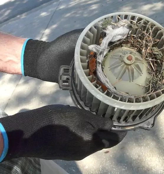 About Air Duct Mice Removal in Eastlake, OH