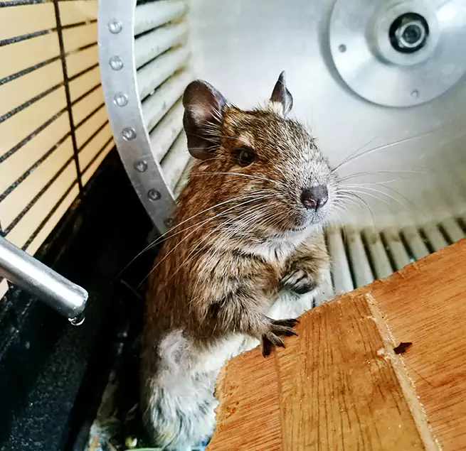 Why Homeowners & Businesses Trust Us Eastlake, OH